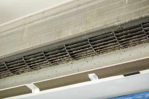 Best Affordable Duct Cleaning Services  in Addison, TX